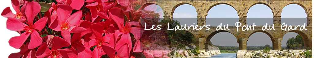 Les Lauriers du Pont du Gard - Spécialiste en lauriers roses